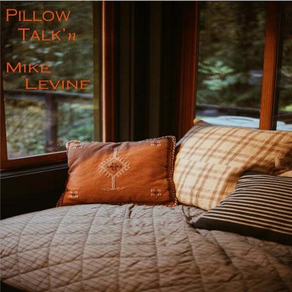 Cover art for Pillow Talk'n