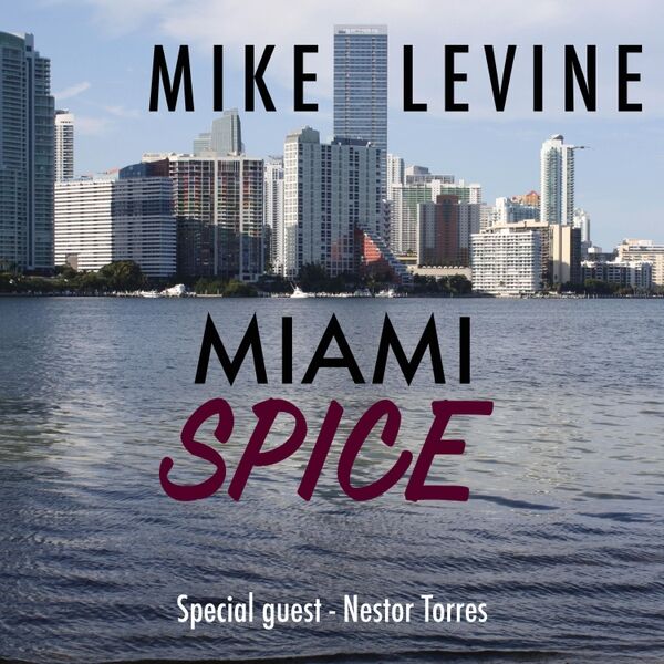 Cover art for Miami Spice